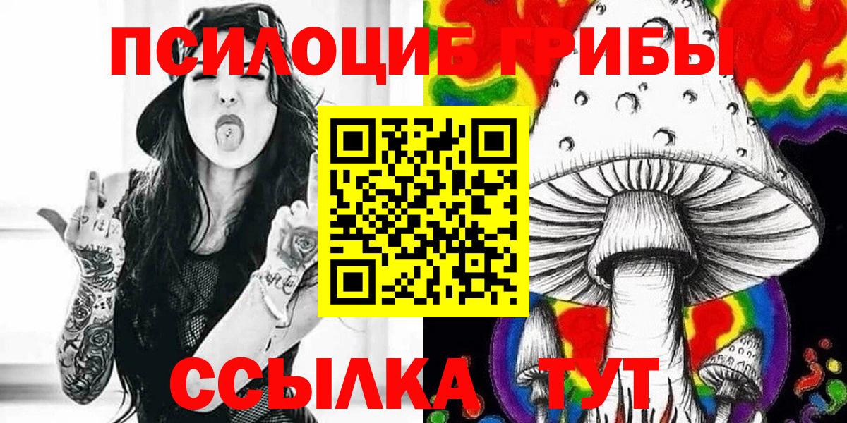 Галлюциногенные грибы Psilocybe Сосновый Бор