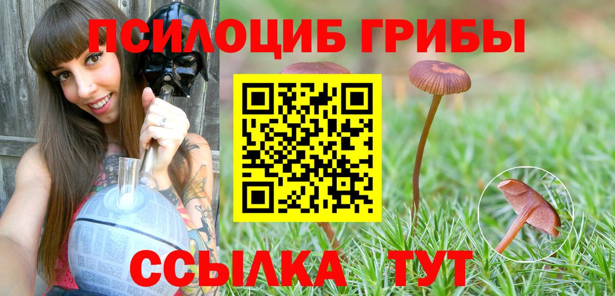 Сосновый Бор  Галлюциногенные грибы Psilocybine cubensis  Вход с VPN 